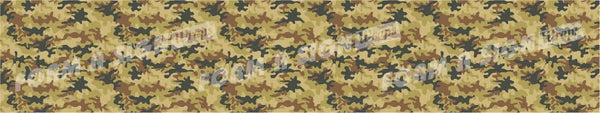 Army Camo 2