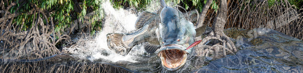 Ballistic Barra