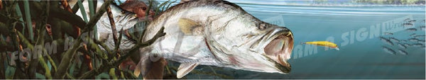 Barramundi