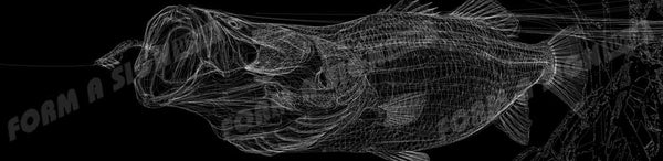 Barramundi Line Art Black