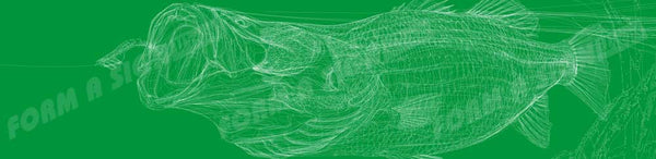 Barramundi Line Art Green