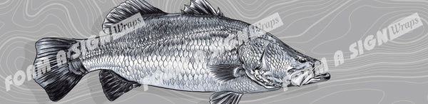 Engraved Barramundi