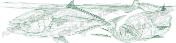 King Fish Line Art White