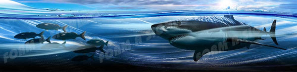 Shark Hunt
