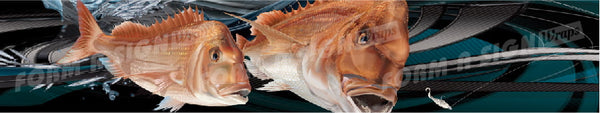 Snapper 2