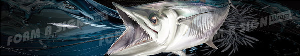 Spanish Mackerel