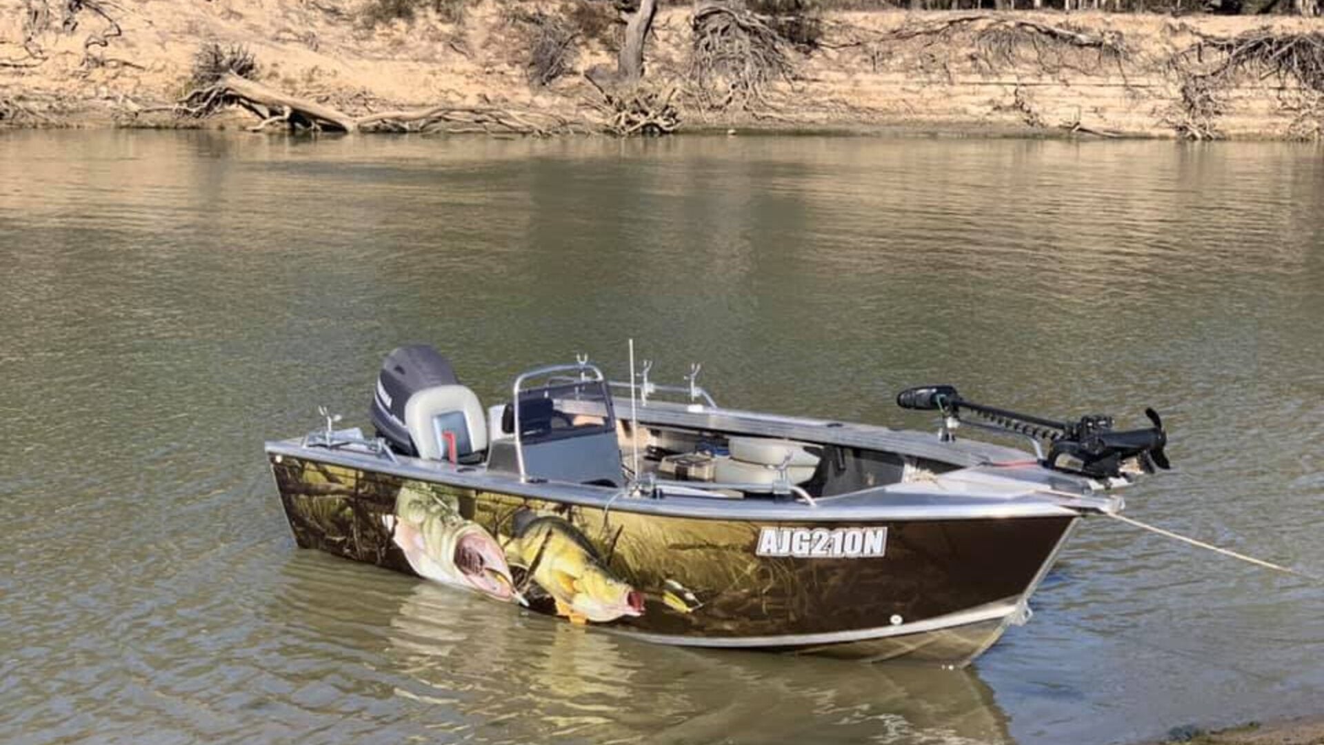 Murray Cod and Yellowbelly boat wrap design by Form A Sign