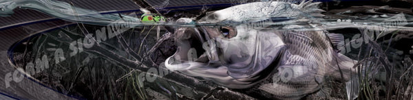 Digital Bass 'N Boat