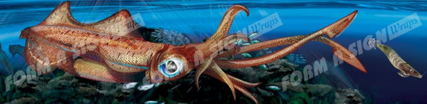 Shallow Water Suckers